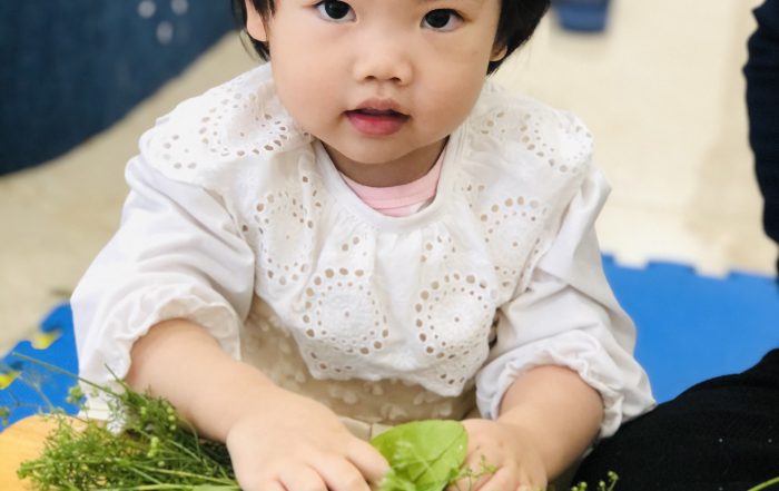 BẢN TIN 3T Edu