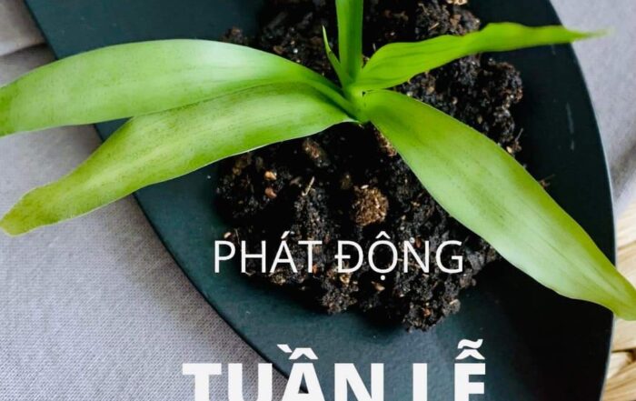 BẢN TIN 3T Edu 9 BẢN TIN 3T Edu