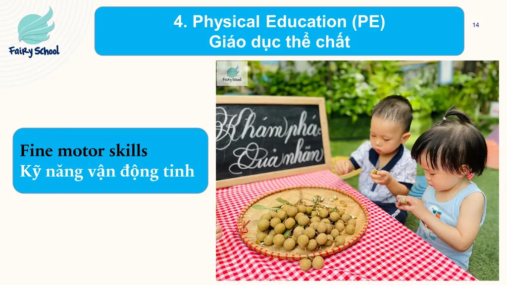 CHƯƠNG TRÌNH HỌC