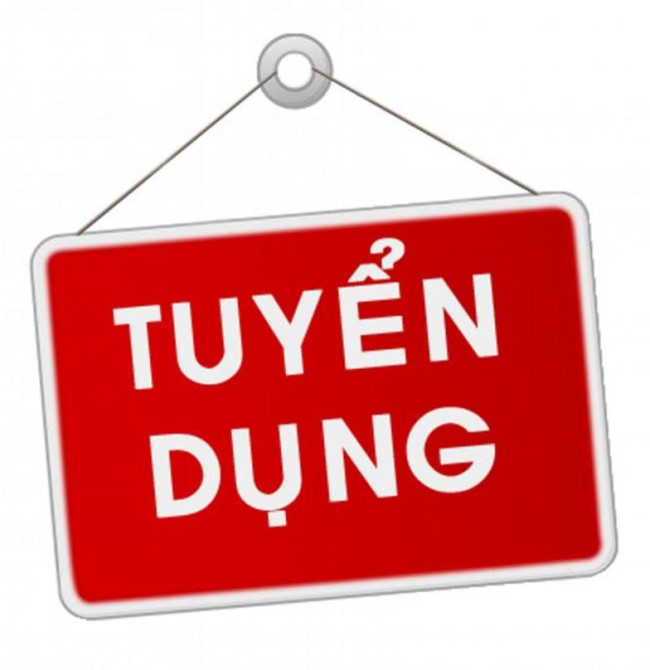 Tuyển dụng toàn hệ thống 3T Edu tháng 7/2023