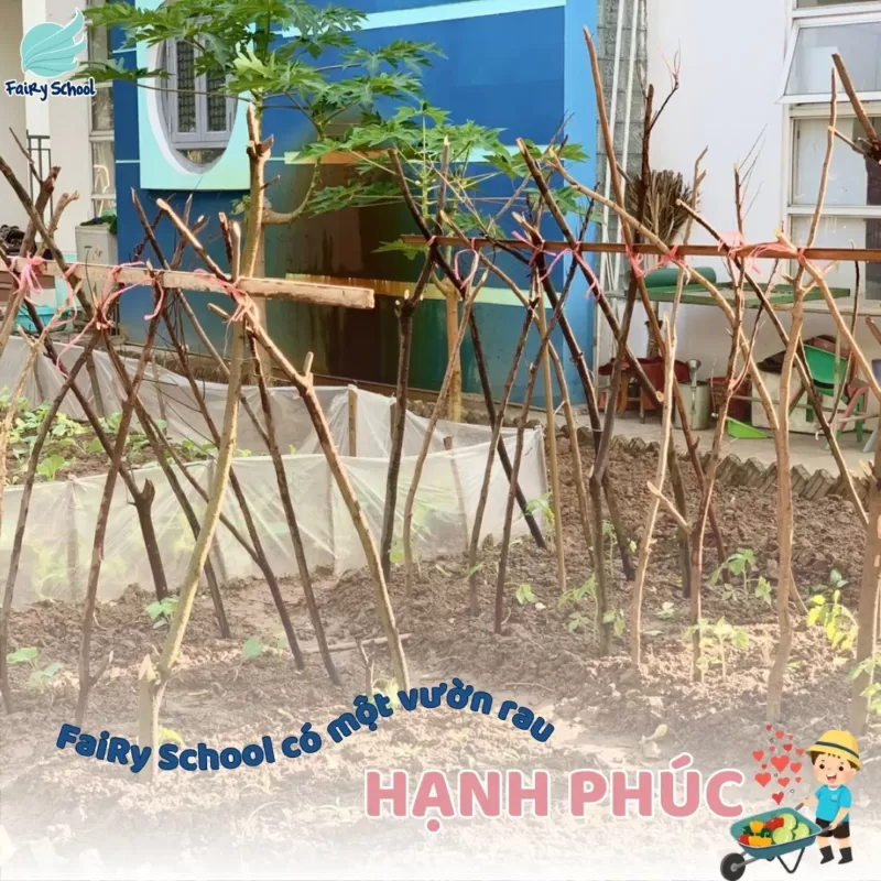 Vườn rau HẠNH PHÚC tại 3T Edu