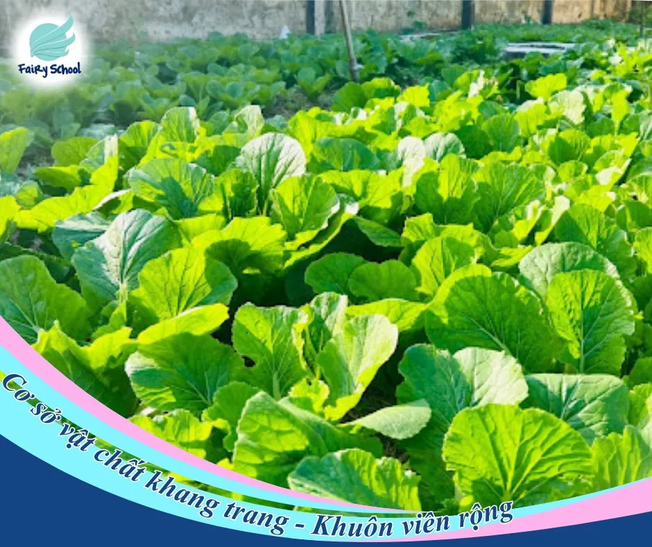 3T Edu tuyển sinh bổ sung học kỳ II năm học 2024-2025 35 3T Edu tuyển sinh bổ sung học kỳ II năm học 2024-2025