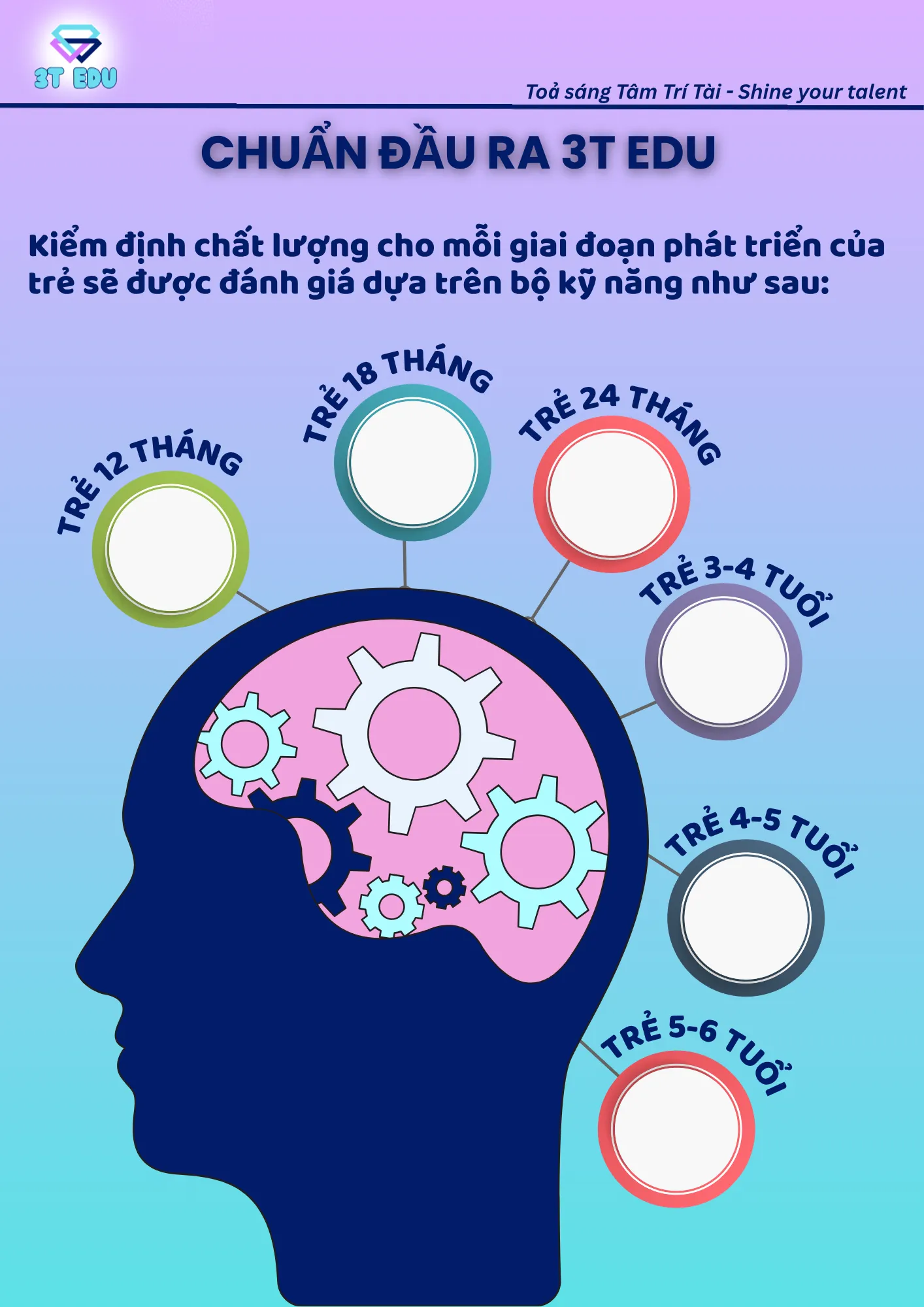 GIỚI THIỆU VỀ 3T EDU